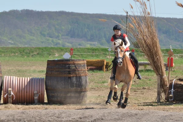 Cavaleiro eventing cavalo julgamento — Fotografia de Stock
