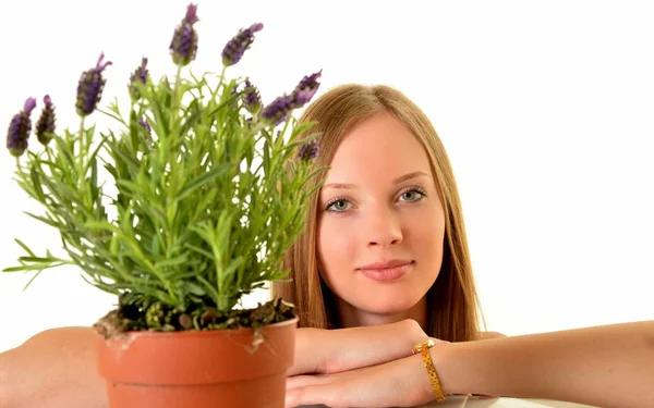 Vrouw met lavendel geïsoleerd op wit — Stockfoto