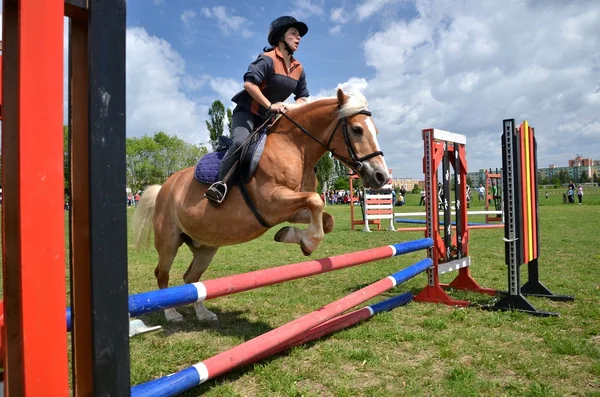 stock image Rider in the jumping show