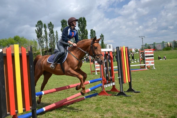 Ruiter in de jumping show — Stockfoto