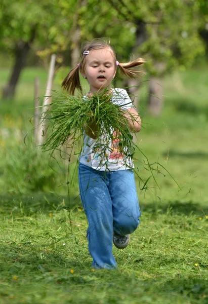 Bebê brincando com grama — Fotografia de Stock
