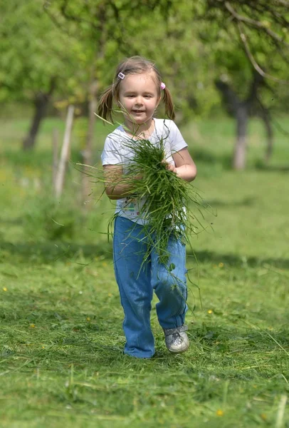 Dítě hraje s trávou — Stock fotografie