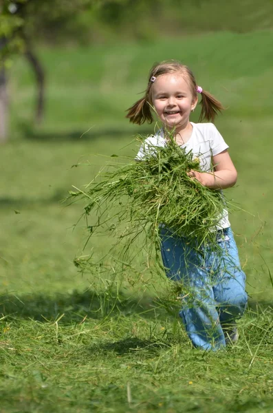 Bebé jugando con hierba — Foto de Stock
