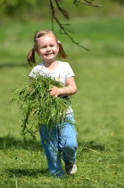 Ребенок играет с травой — стоковое фото