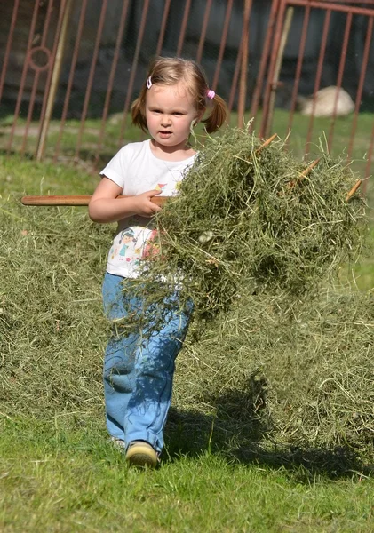 Девочка играет с подстриженной травой — стоковое фото