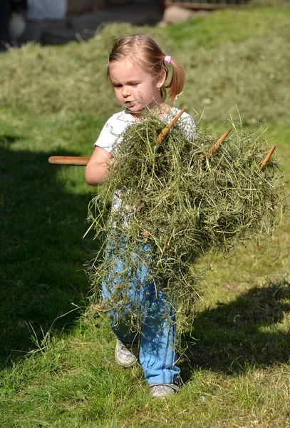 Baby flicka som leker med gräs — Stockfoto