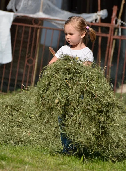 Niña jugando con hierba cortada —  Fotos de Stock