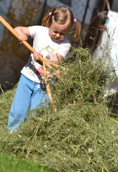 Niña jugando con hierba cortada —  Fotos de Stock