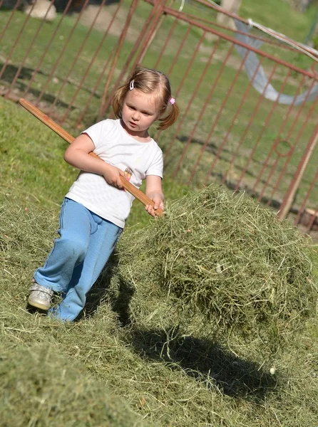 Девочка играет с подстриженной травой — стоковое фото