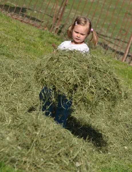 Mädchen spielt mit gemähtem Gras — Stockfoto