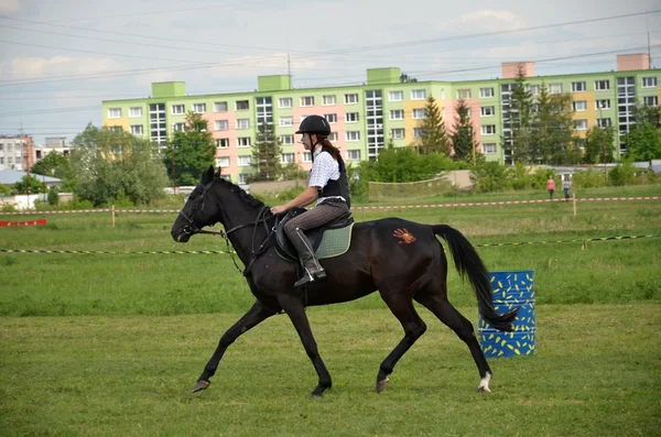 Salto a caballo —  Fotos de Stock
