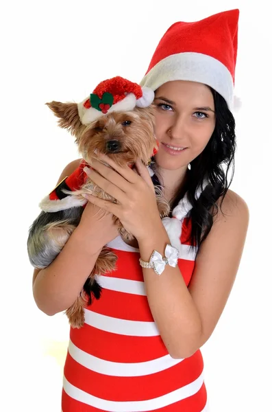 漂亮的女孩和狗在圣诞老人帽子圣诞节 — 图库照片
