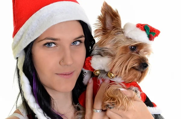 Прелестная девочка и собака в шляпе санта на Рождество — стоковое фото