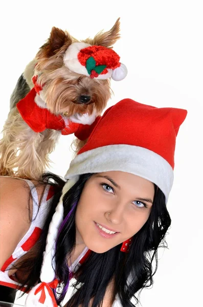 Bella ragazza e cane in cappello di Babbo Natale — Foto Stock