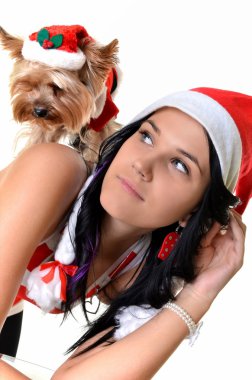 güzel kız ve köpek Noel Noel Baba şapkası