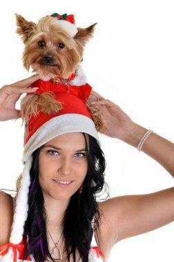 güzel kız ve köpek Noel Noel Baba şapkası