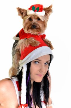 güzel kız ve köpek Noel Noel Baba şapkası