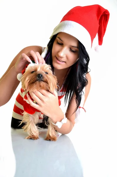 Όμορφο κορίτσι και σκύλου στην το καπέλο santa Χριστούγεννα — Φωτογραφία Αρχείου