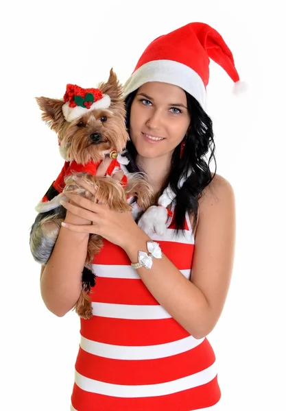 Hübsches Mädchen und Hund mit Weihnachtsmütze zu Weihnachten — Stockfoto