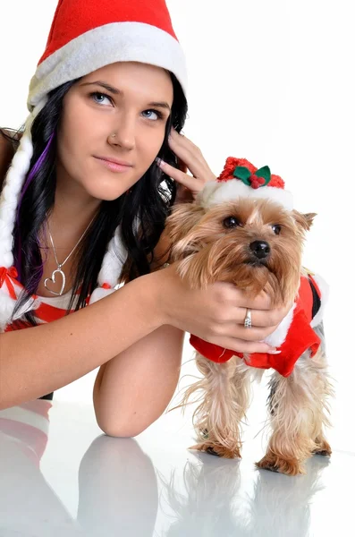 Güzel kız ve köpek Noel Noel Baba şapkası — Stok fotoğraf
