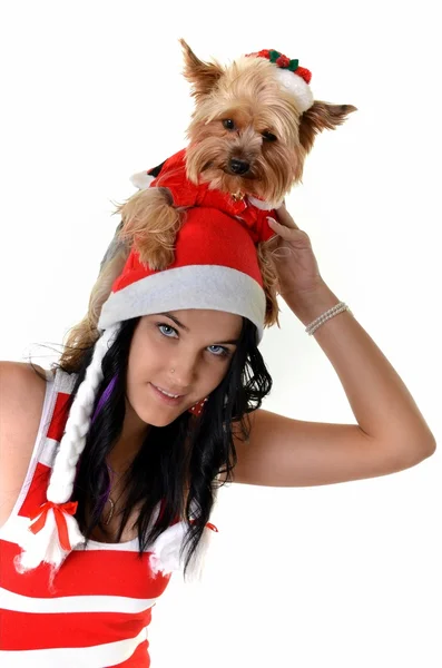Linda chica y perro en sombrero de santa en Navidad —  Fotos de Stock