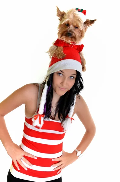 Hübsches Mädchen und Hund mit Weihnachtsmütze zu Weihnachten — Stockfoto