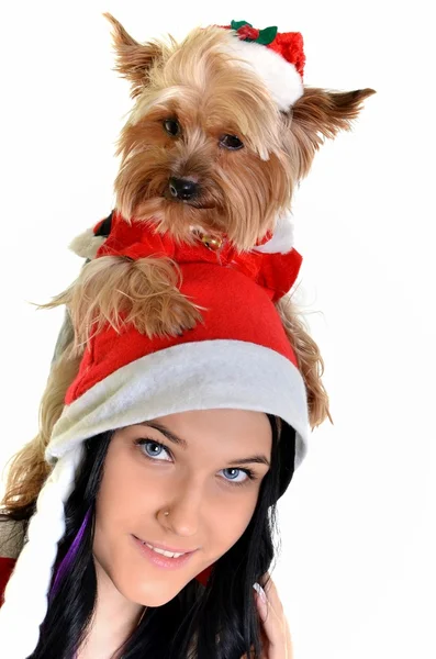 Güzel kız ve köpek Noel Noel Baba şapkası — Stok fotoğraf