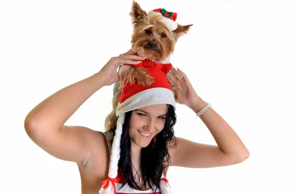 Mooi meisje en de hond in kerstmuts met Kerstmis — Stockfoto