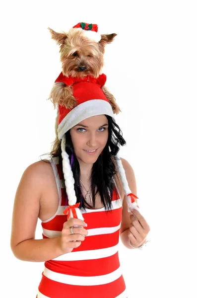 Mooi meisje en de hond in kerstmuts met Kerstmis — Stockfoto