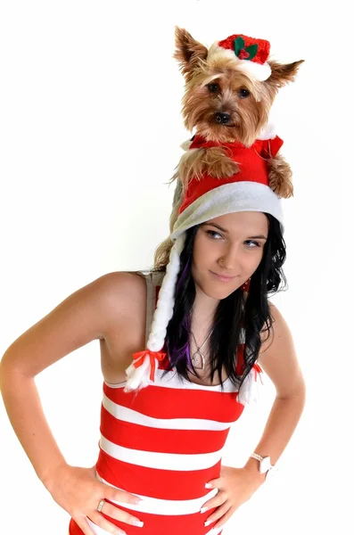 Прелестная девочка и собака в шляпе санта на Рождество — стоковое фото