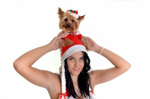 Bella ragazza e cane in cappello di Babbo Natale — Foto Stock