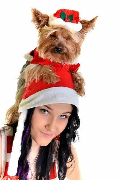 Pretty girl and dog in santa hat at Christmas — Stock Photo, Image