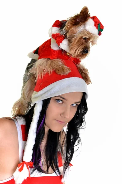 Όμορφο κορίτσι και σκύλου στην το καπέλο santa Χριστούγεννα — Φωτογραφία Αρχείου