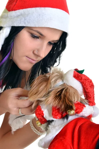 Pretty girl and dog in santa hat at Christmas Royalty Free Stock Photos