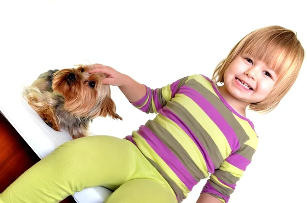 Beautiful little girl with Yorkie pup — Stock Photo, Image