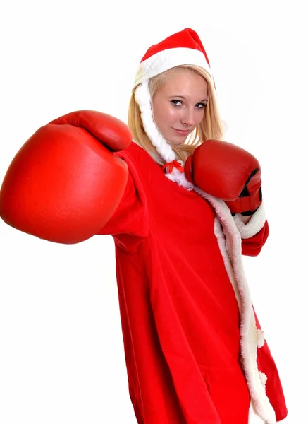 Santa boxer — Stock Photo, Image