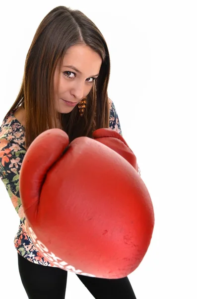 Крупный план женщины-боксера над белым — стоковое фото
