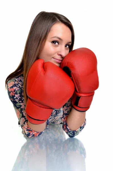Zblízka ženské boxer nad bílá — Stock fotografie