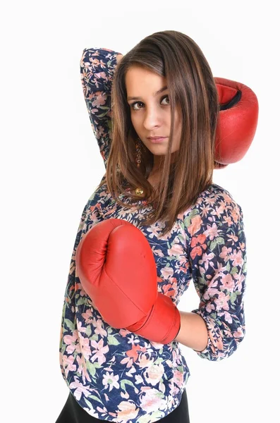 Zblízka ženské boxer nad bílá — Stock fotografie