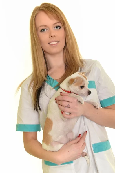 女兽医和一条狗 — 图库照片
