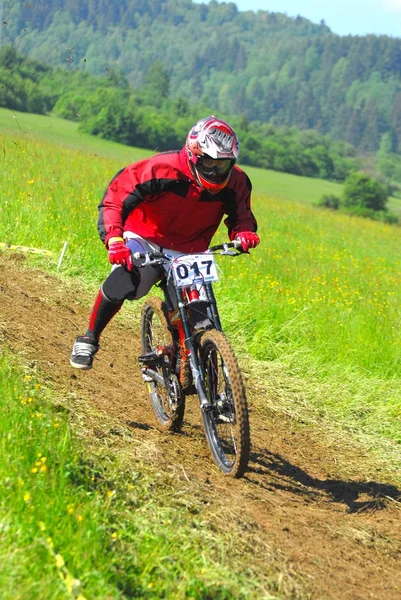 Genç bir erkek dağ bisikleti açık sürme — Stok fotoğraf