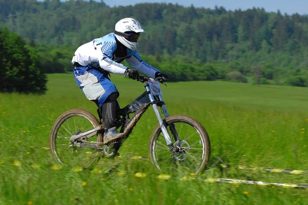 stock image Downhill competition