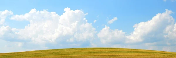 Schoonheid zomer veld met blauwe hemel — Stockfoto