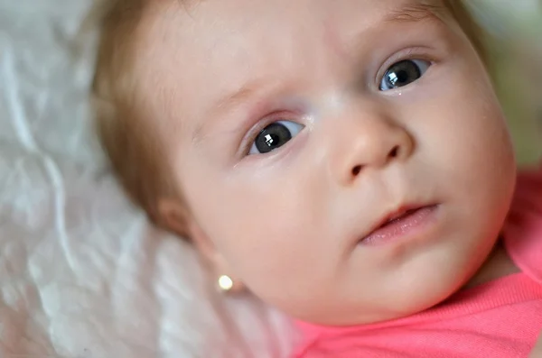 2 개월 된 아기 — 스톡 사진