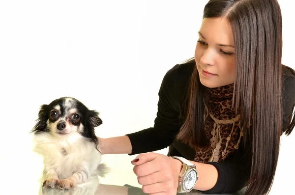 Flicka poserar i studio med hennes lilla hund — Stockfoto