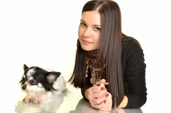 Ragazza in posa in studio con il suo piccolo cane — Foto Stock