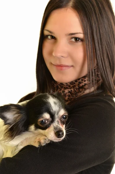 Девушка позирует в студии со своей маленькой собачкой — стоковое фото