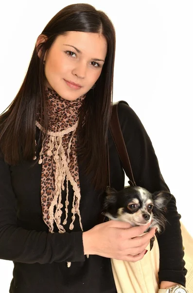 Mädchen posiert im Studio mit ihrem kleinen Hund — Stockfoto