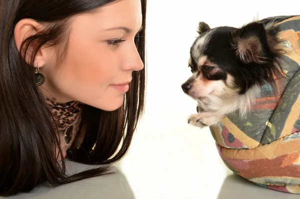 Dziewczyna pozuje w studio z jej mały pies — Zdjęcie stockowe