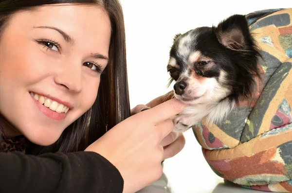 Menina posando em estúdio com seu pequeno cão — Fotografia de Stock